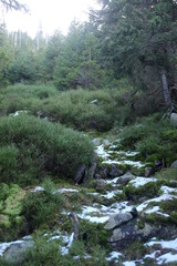 Snow in the mountains. Winter