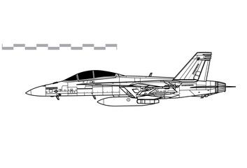 Fototapeta na wymiar Boeing F/A-18F Super Hornet. Vector drawing of multirole fighter aircraft. Side view. Image for illustration and infographics.
