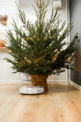 Smart home. Robot vacuum cleaner performs automatic cleaning. Cleans the parquet from Christmas tree needles after the new year. cleans near the Christmas tree after the holidays.