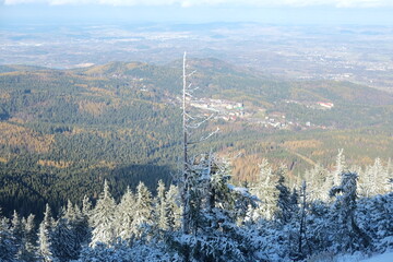 Winter in the forest. Panoramic view of a small town in the mountains