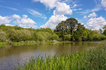 Beautiful parkland landscape with small lake and various trees. bright sunny day at beauty spot. fishing lake with a view.