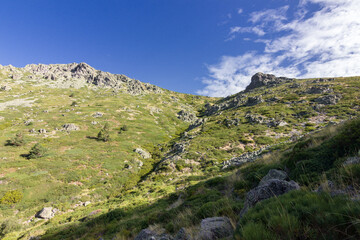 Fototapeta na wymiar Hiking to Maliciosa mountain near Madrid (Spain)