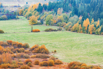 Autumn countryside view. Republic of Karelia.