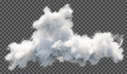 Foto op Canvas Vector illustration. Fluffy cloud or haze on a transparent background. Weather phenomenon. © shacil