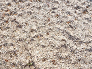 Sand beach background texture of light brown coloured shingle sand