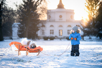 Dziecko z sankami i psem bawią sie na śniegu  - obrazy, fototapety, plakaty