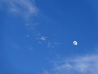 Naklejka na ściany i meble Almost full Moon in Cloudy sky in early evening