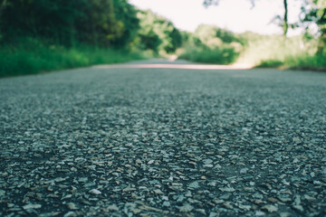 road in the forest