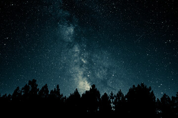 stars in the night