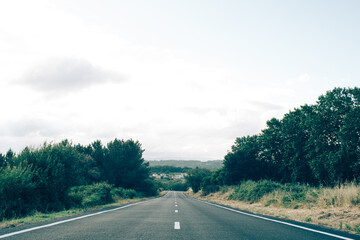 Fototapeta premium road in the forest