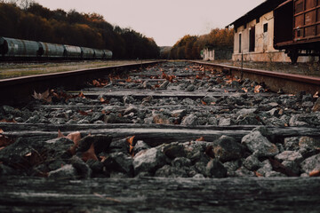 Obraz premium railroad tracks in the woods