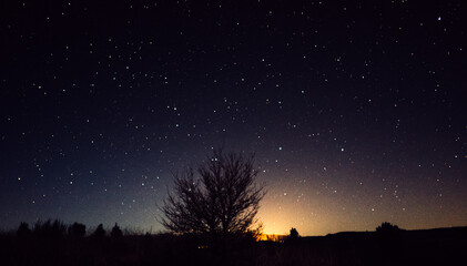 night sky with stars