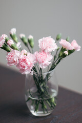 little pink carnations in a clear vase