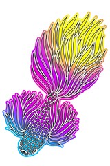 Beautiful gradient colourful betta fish design  illustration for wallpaper background ads clothing logo or presentation template