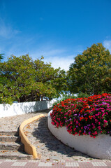 A typical street in old city Estepona with colorful flower pots. Estepona, Andalusia, Spain