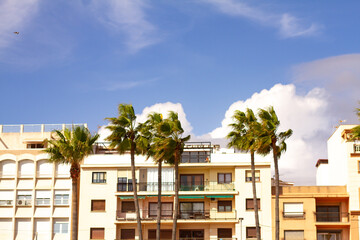 A typical street in old city Estepona with colorful flower pots. Estepona, Andalusia, Spain
