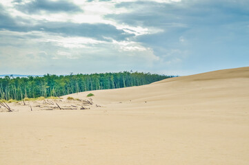 Dunes of Leba in the desert of Slowinski National Park, Poland