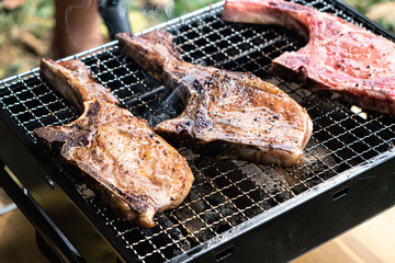 Above view of grilled pork chop on flaming grill. Juicy roasted steaks pepper. Backyard grilling for summer picnic camping. Top down