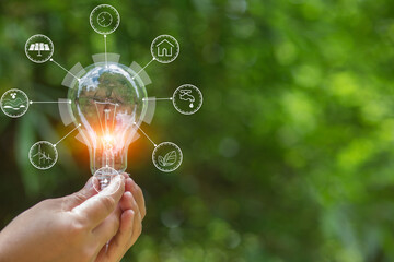 Light bulb Energy saving green nature background