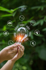 Light bulb Energy saving green nature background