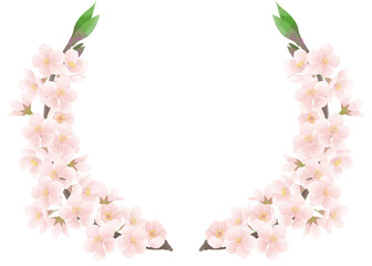 桜の花の装飾フレーム素材／Cherry blossom decoration frame material