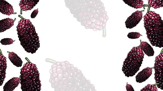 Animated hand drawn fresh mulberries frame template design.