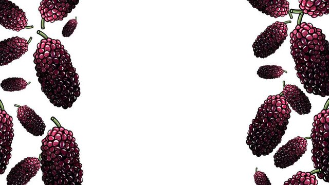 Animated hand drawn fresh mulberries frame template design.