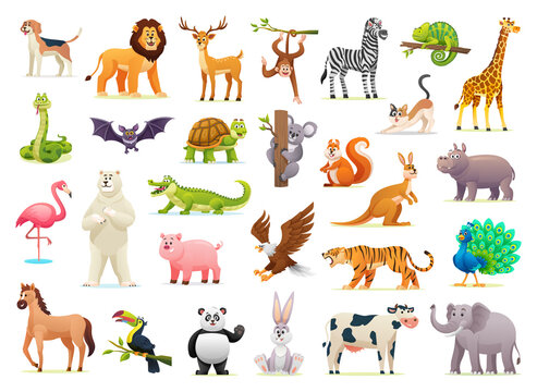 Collection of cute wild animal illustrations on white background