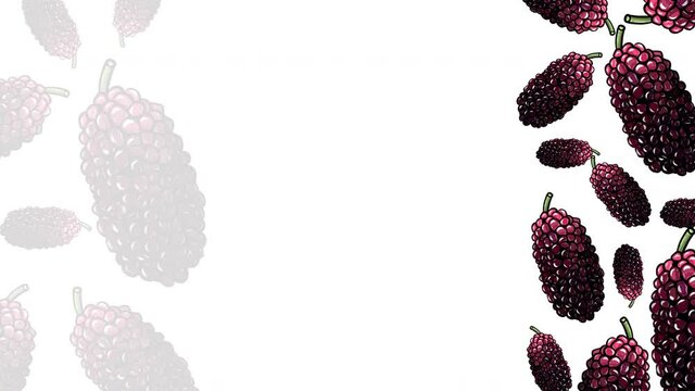Animated hand drawn fresh mulberries frame template design.
