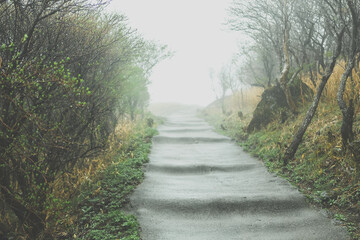 霧と坂道