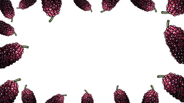 Animated hand drawn fresh mulberries frame template design.