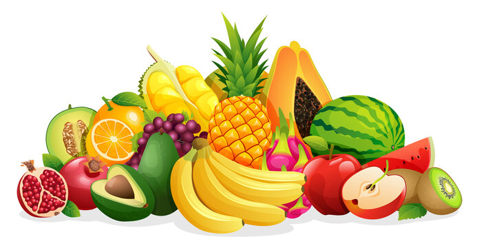 Set of various kinds of fruit illustrations