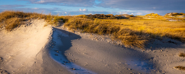 Amazing landscape at the Wadden Sea in St Peter Ording Germany - travel photography