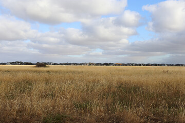 Obraz premium outer suburban housing estate on the edge of grassland