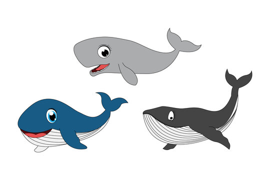 cute whale animal cartoon graphic