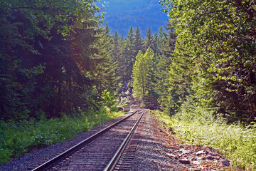 Obraz premium Colorado Tracks