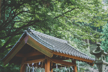 神社の屋根