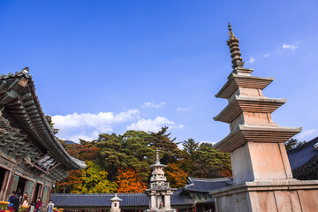 Obraz premium Beautiful and colorful autumn Korean temple Bulgulsa with yellow,orange and red leaves,