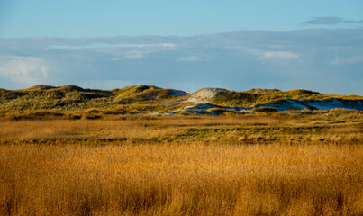 Fototapeta premium The dunes and Wadden Sea at St Peter Ording Germany - travel photography