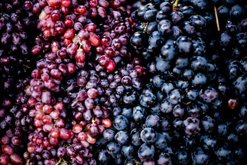 A variety of grapes that the hill tribes sell in the Muser market, Tak Province, Thailand.