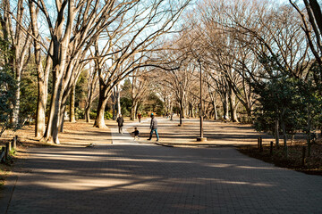 公園