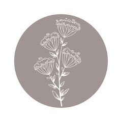 Floral vector round icon with hand drawn abstract branch isolated on white background. Design for highlight covers of social media stories, logo, cosmetic and beauty branding