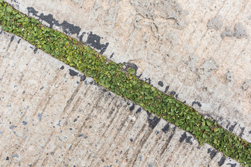Road crack, surface of concrete driveway with crack and grass