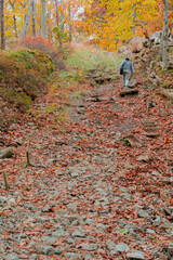 Beautiful Autumn View in Bear Mountain State Park