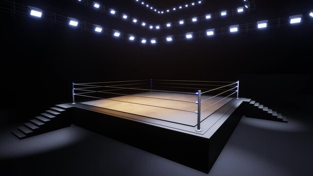Sports wrestling and boxing. Sport 4K professional background, 3d illustration