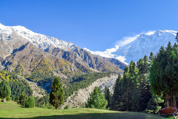 landscape in the mountains