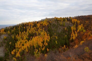 Autumn views of broad-leaved forest in Zhiguli mountains