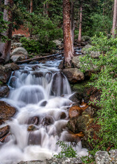 waterfall in the forest