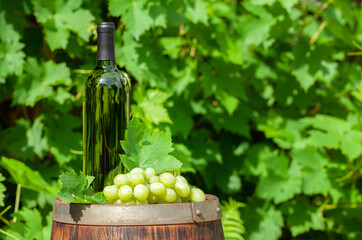 Wine bottle and grape vine on old wine barrel