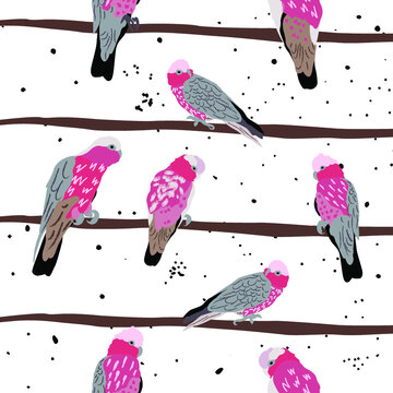 Australian Pink Galahs Repeat Pattern 2
